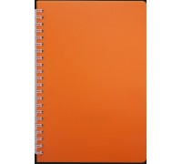 Зошит для нотаток BRIGHT, L2U, В5, 60 арк., клітинка, помаранчовий, пластикова обкладинка. Арт.BM 24554155-11