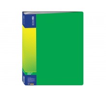 Дисплей-книга 60арк А4 пластикова Economix E30606-04 зелена 